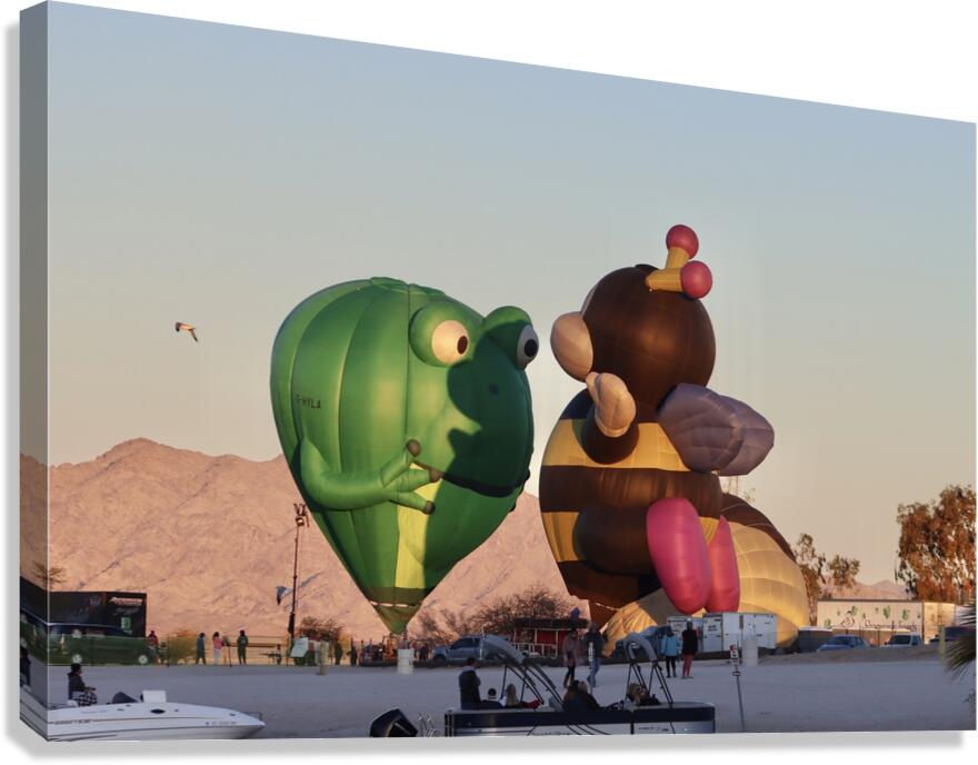 Frog & Bee Canvas Print