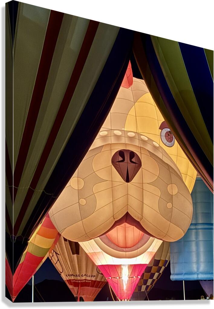 Peek A Boo Canvas Print