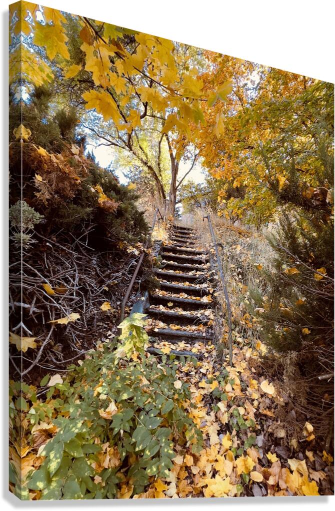 Autumn Staircase Canvas Print