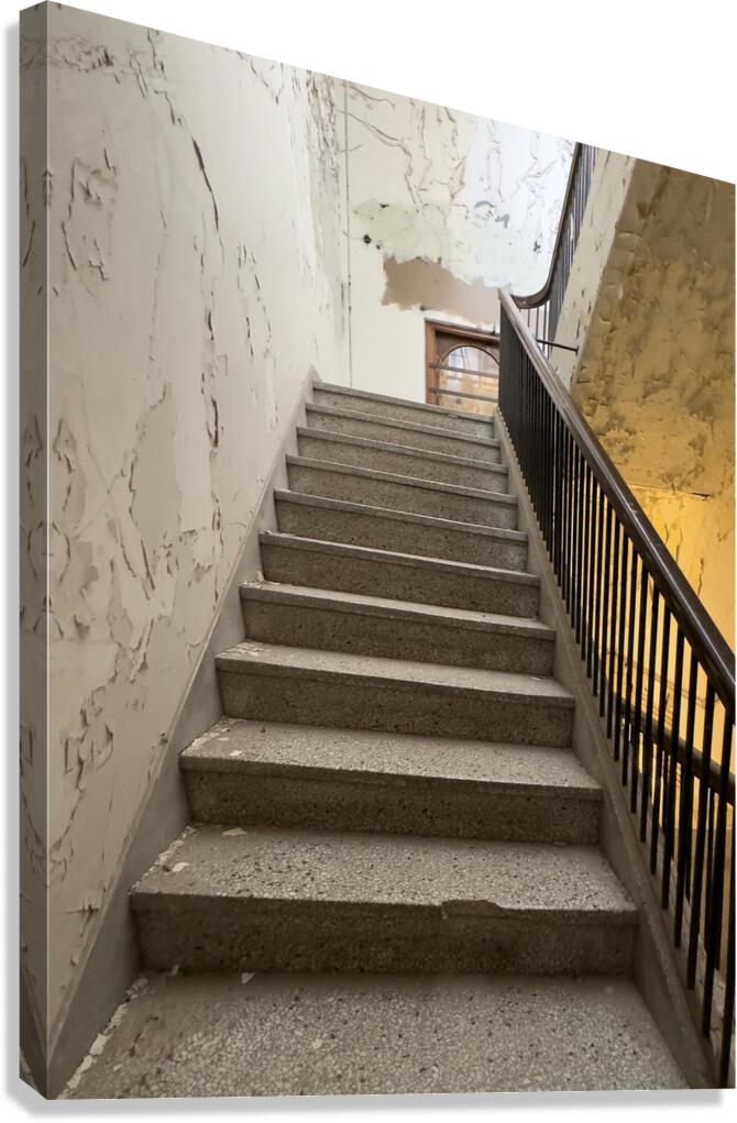 IMG 3404 Canvas Print