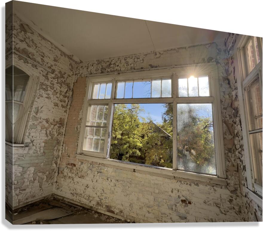 IMG 3399 Canvas Print