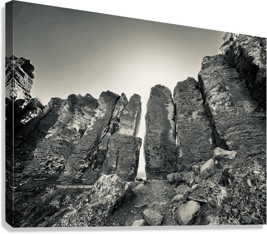 The Feathers Canvas Print