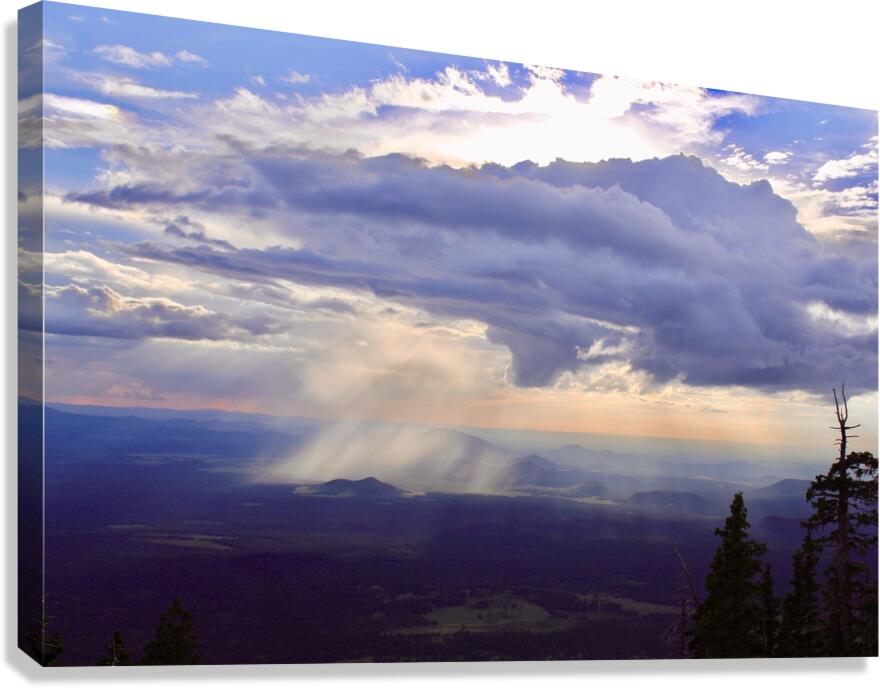 Monsoon Season -3 Canvas Print