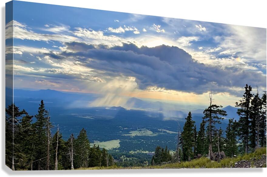 Monsoon Season -1 Canvas Print