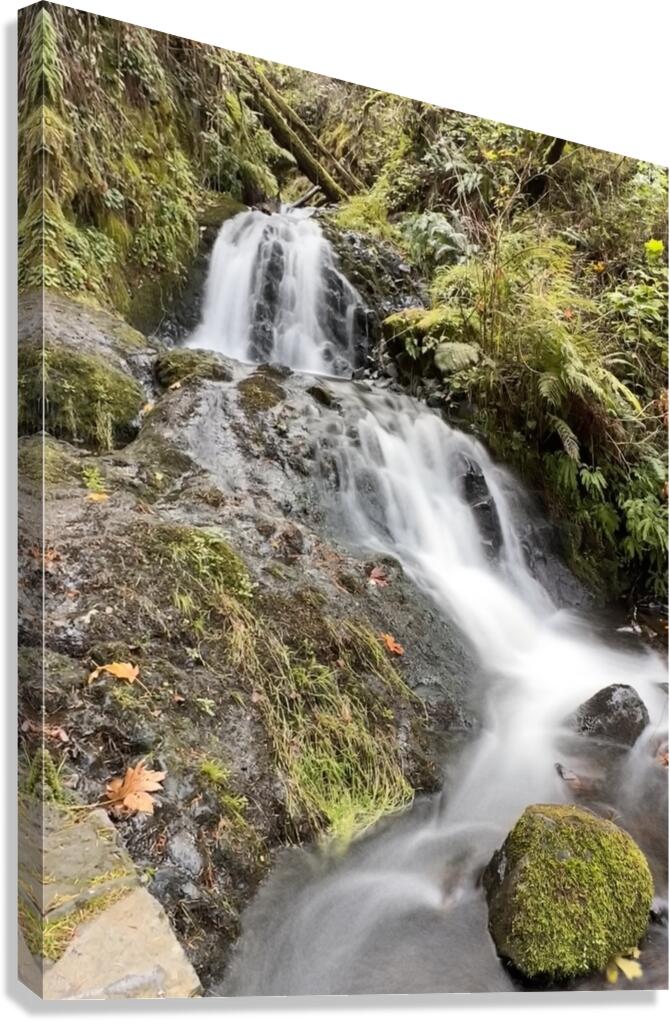 Oregon Waterfall Canvas Print