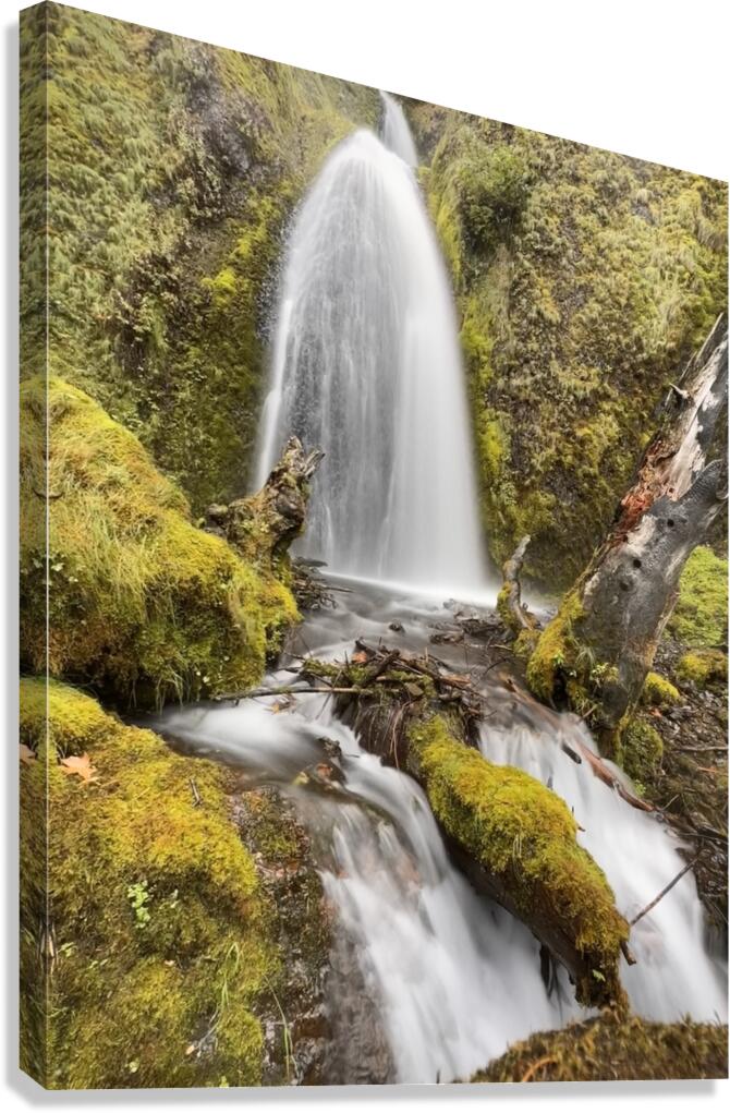 Wahkeena Falls Canvas Print