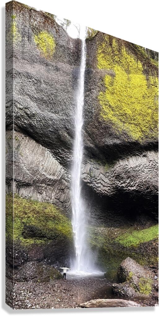 Latourell Falls  Canvas Print