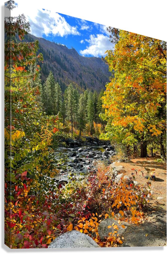 Autumn at Icicle River Canvas Print