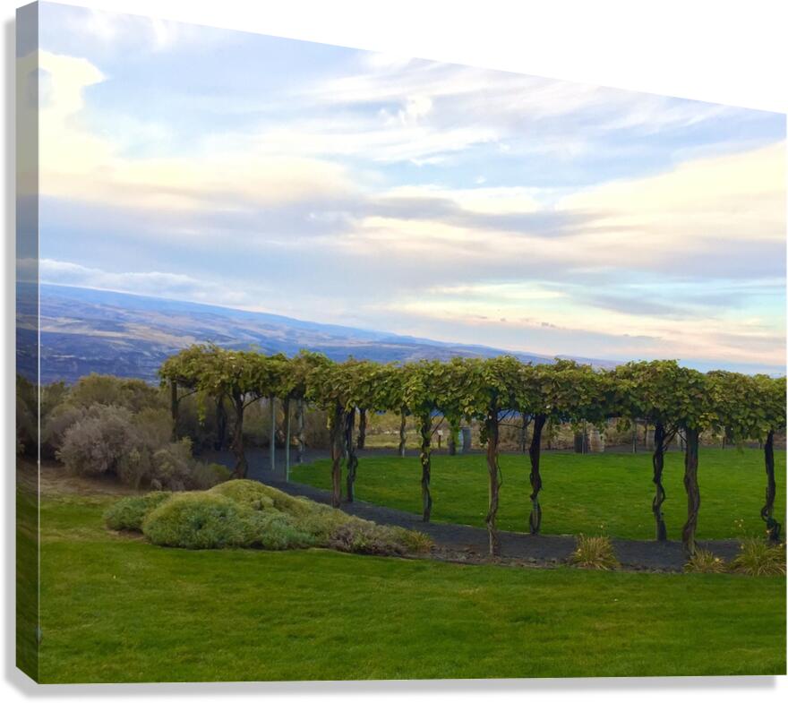 The piazza at Cave B Winery Canvas Print