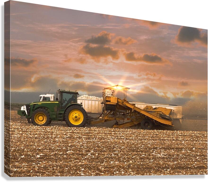Thank a Farmer Canvas Print