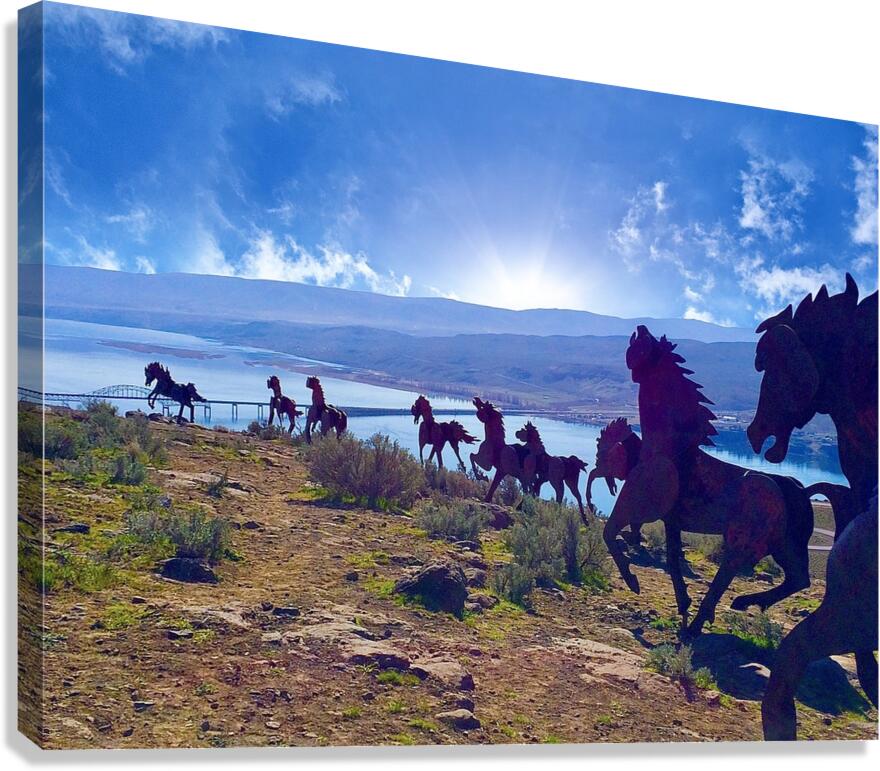 Wild Horses Monument Canvas Print