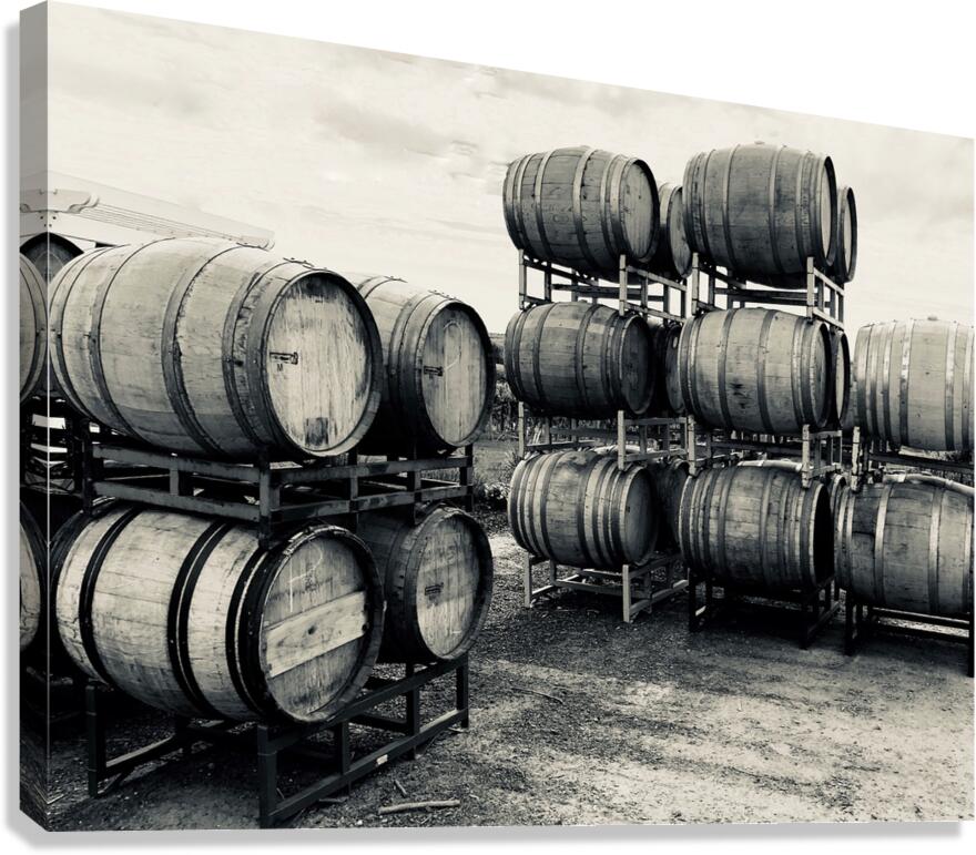 Barrels on the Crushpad Canvas Print