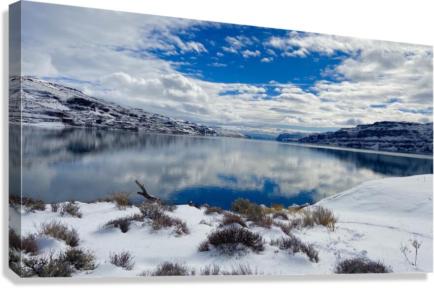 Winter Cove Canvas Print