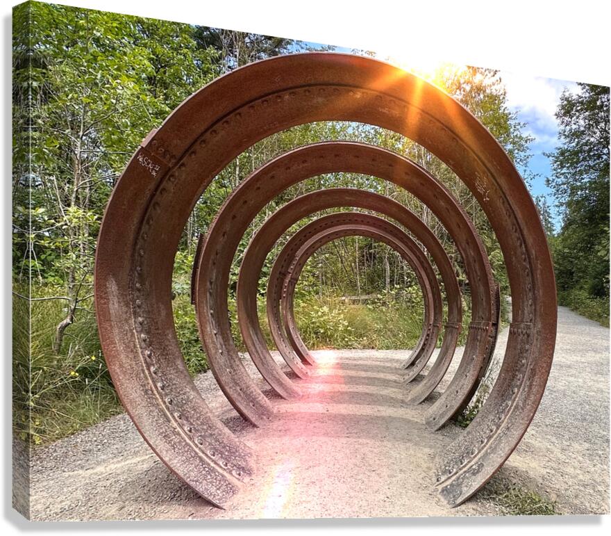 IMG 1694 Canvas Print