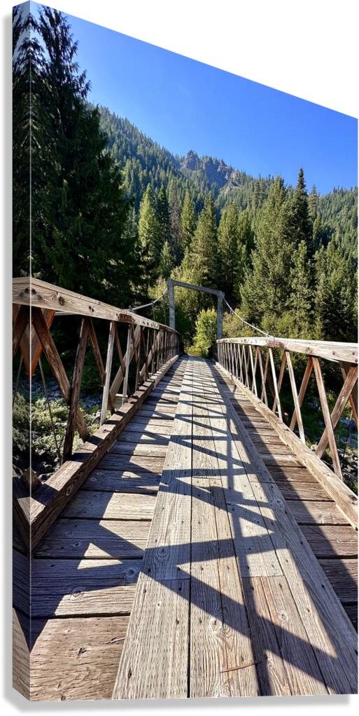 IMG 4082 Canvas Print