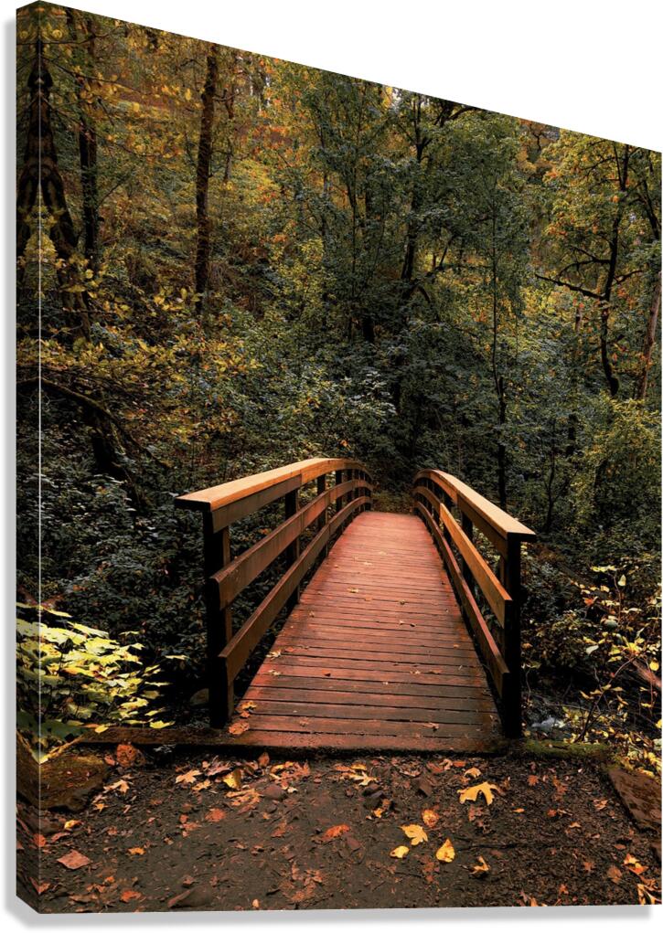 The path less traveled -vertical Canvas Print