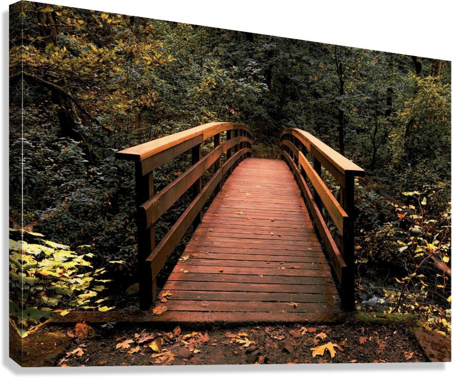 The path less traveled Canvas Print