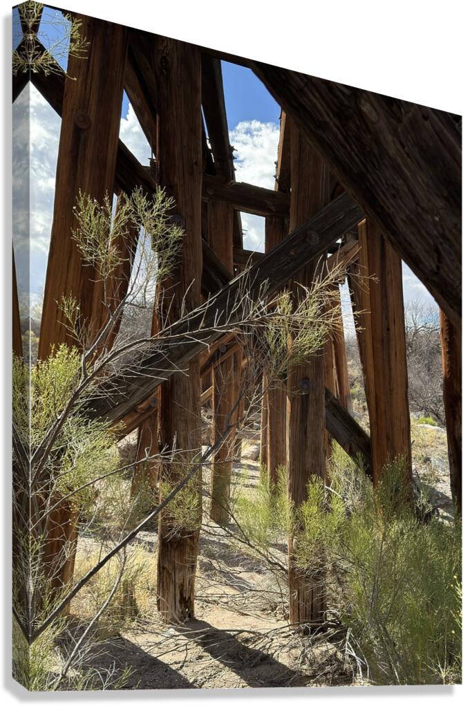 Under the Trestle Canvas Print