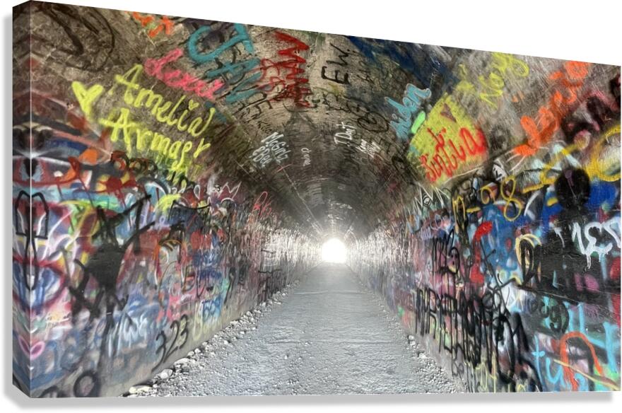 Baird Springs Tunnel -horizontal Canvas Print