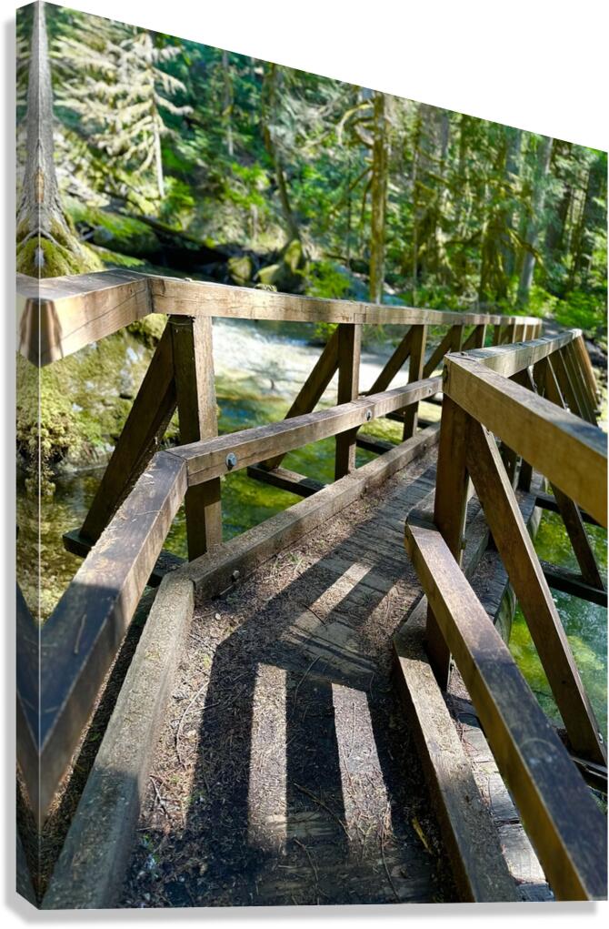 Bend in the Forest Canvas Print