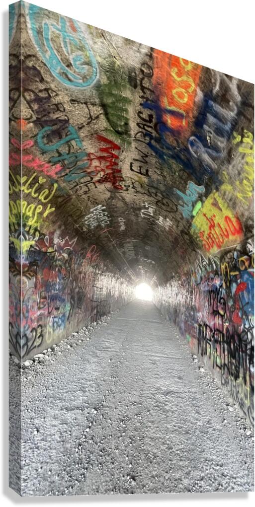 Baird Springs Tunnel -vertical Canvas Print