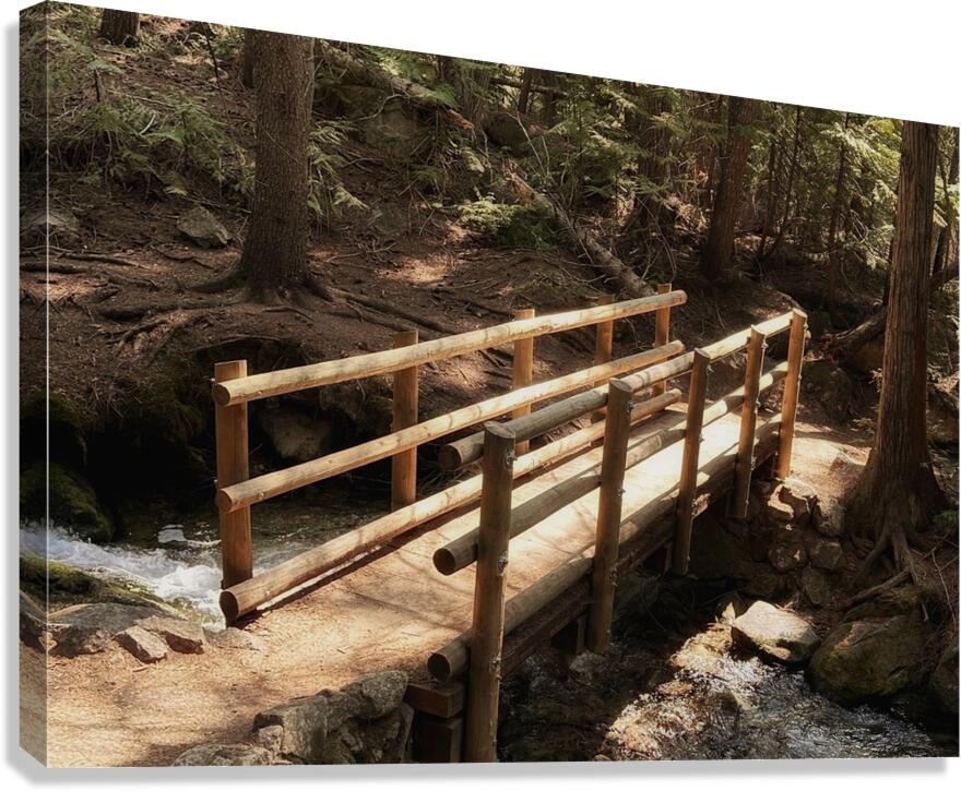 Forest Bridge Canvas Print