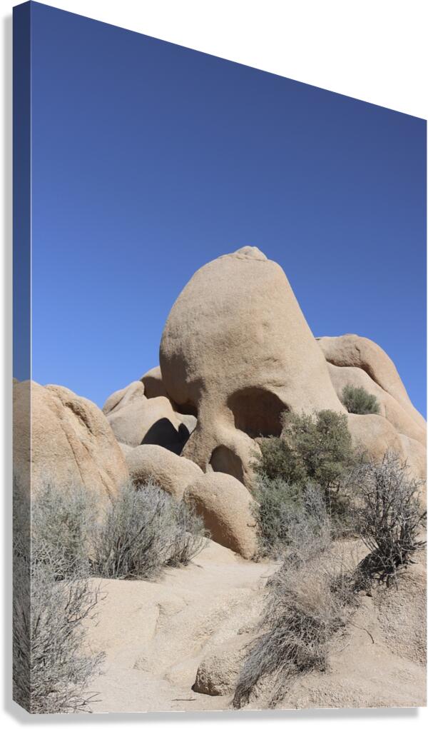 Skull Rock Joshua Tree National Park Canvas Print