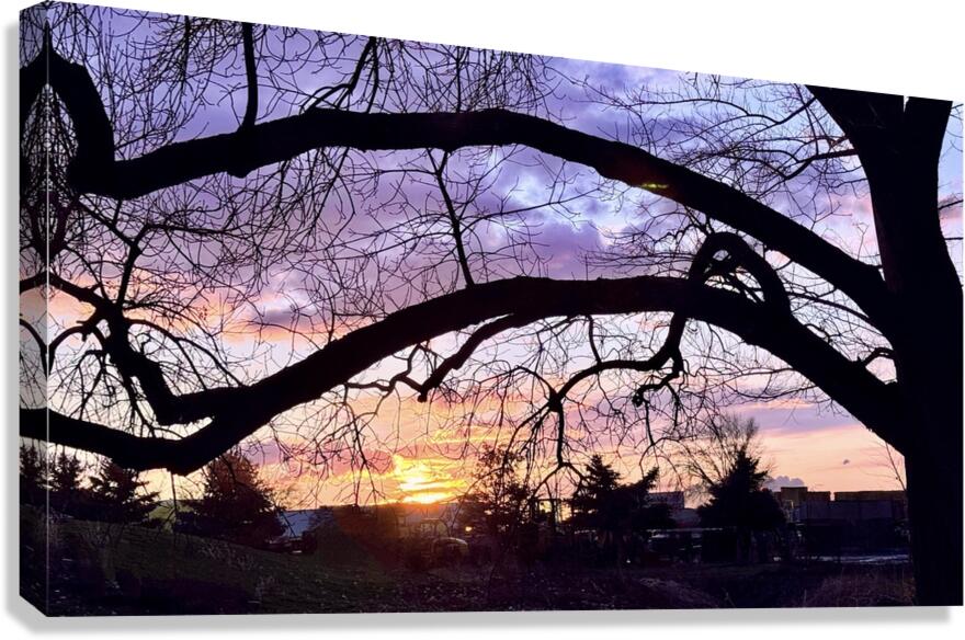 Purple and Orange Canvas Print