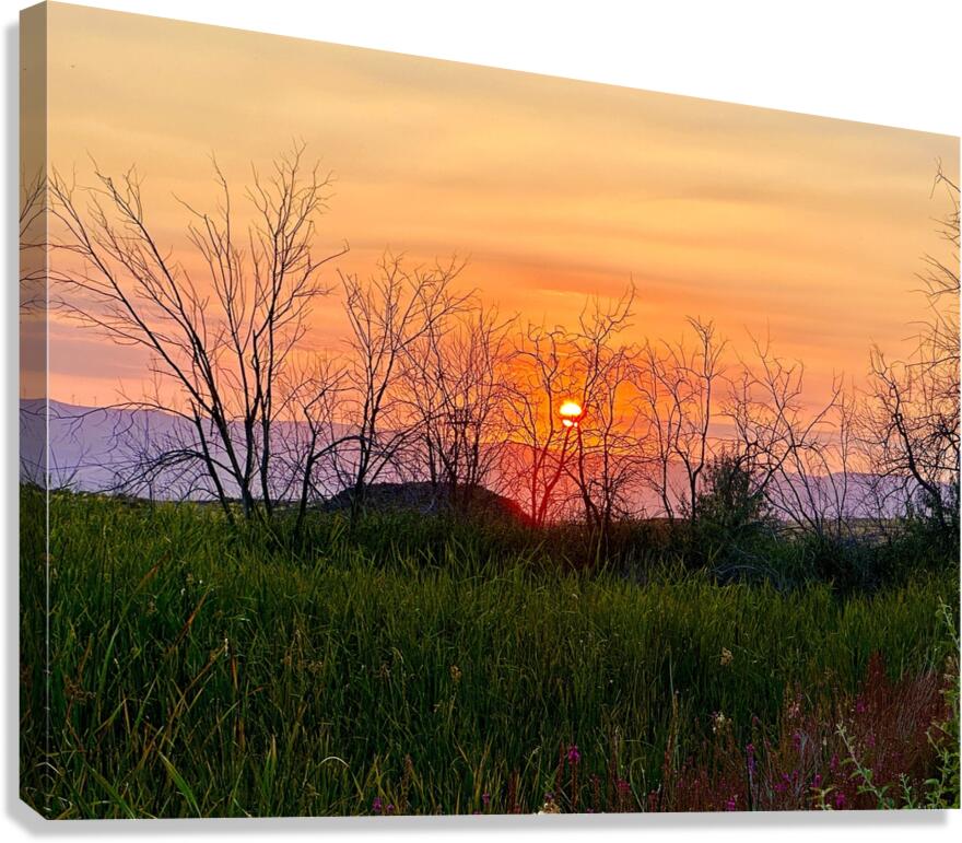 Sunset on Silica Road -2 Canvas Print