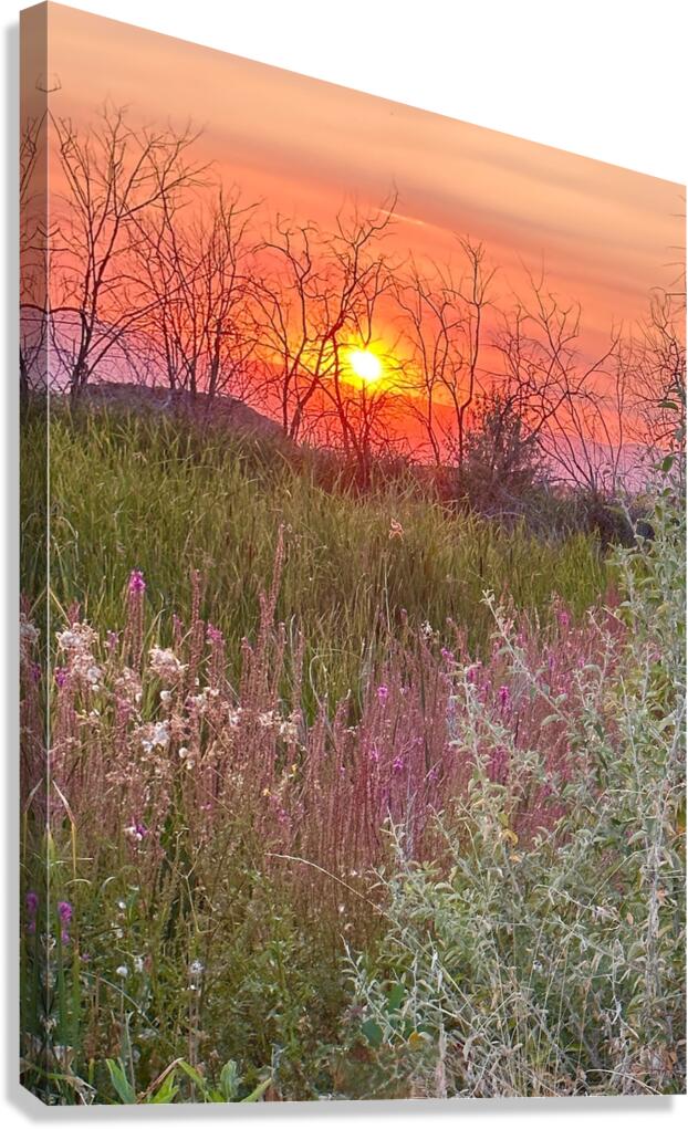Sunset on Silica Road Canvas Print