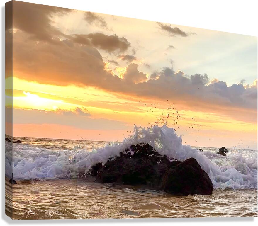 Waves and Rocks Canvas Print