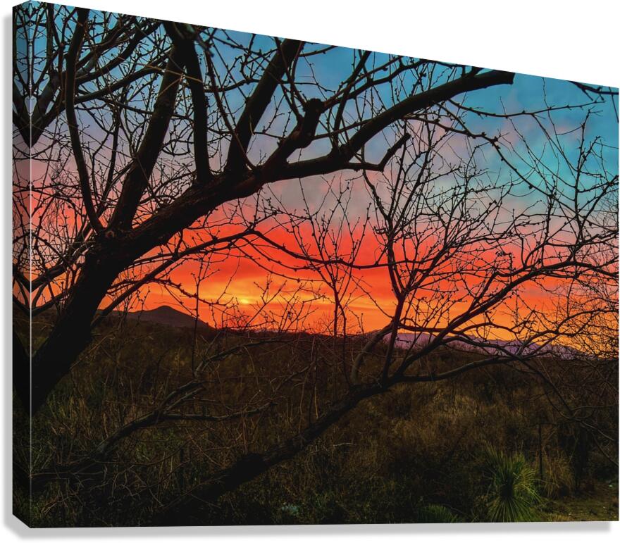 Colors of the Desert Canvas Print