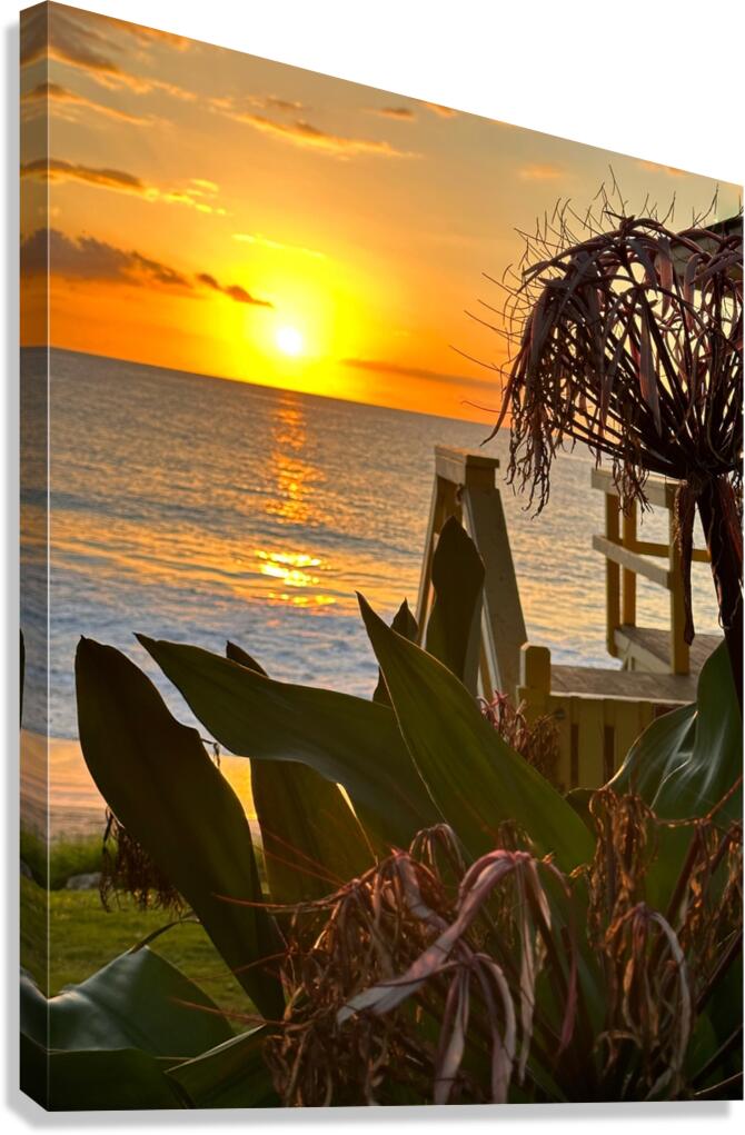 Beauty of Maui Canvas Print