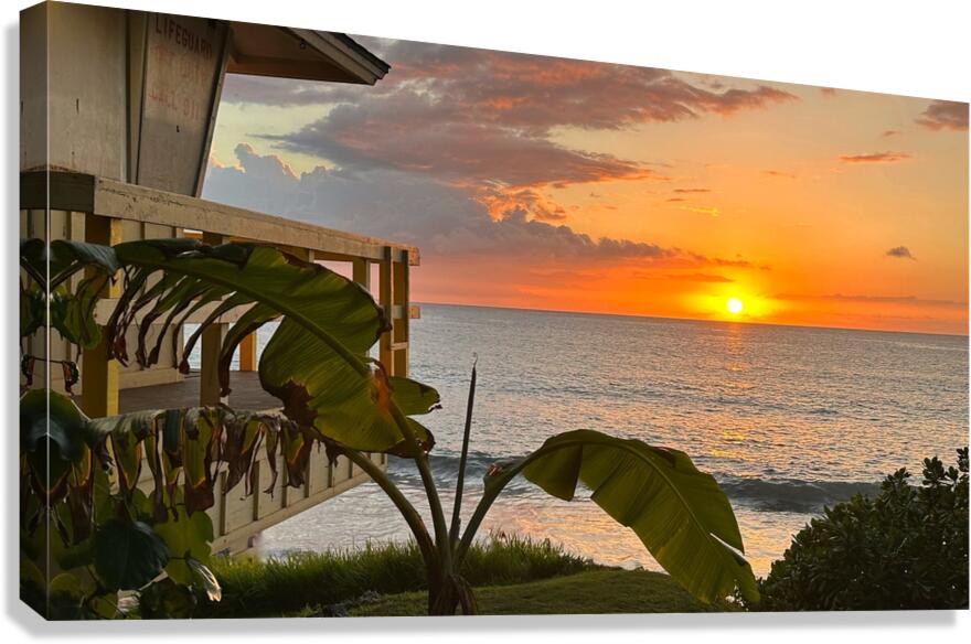 Beauty of Maui -2 Canvas Print