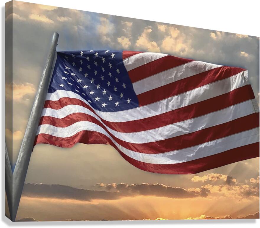 Flag Day Canvas Print