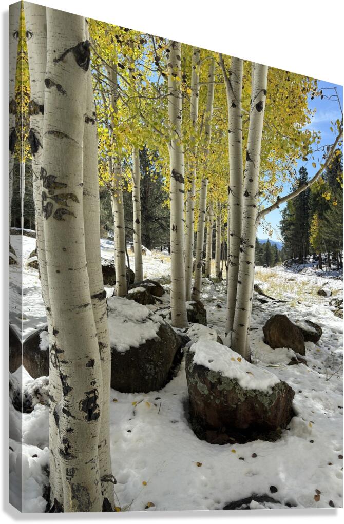 IMG 9854 Canvas Print