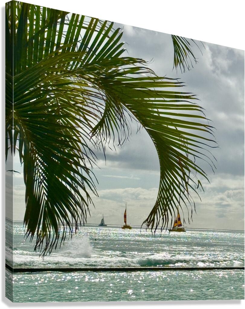 Oahu through the Palms Canvas Print