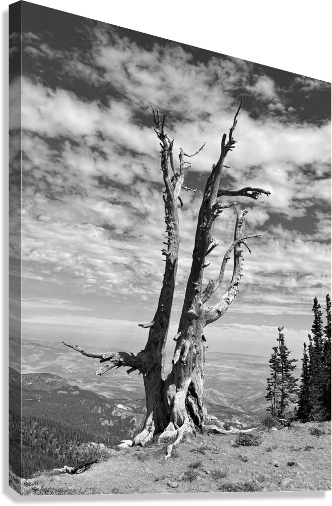 Wenatchee Overlook - black and white Canvas Print