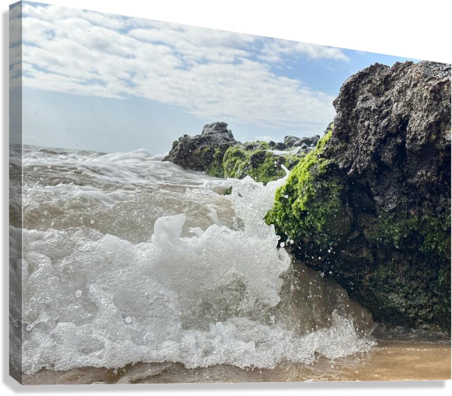 IMG 0842 Canvas Print