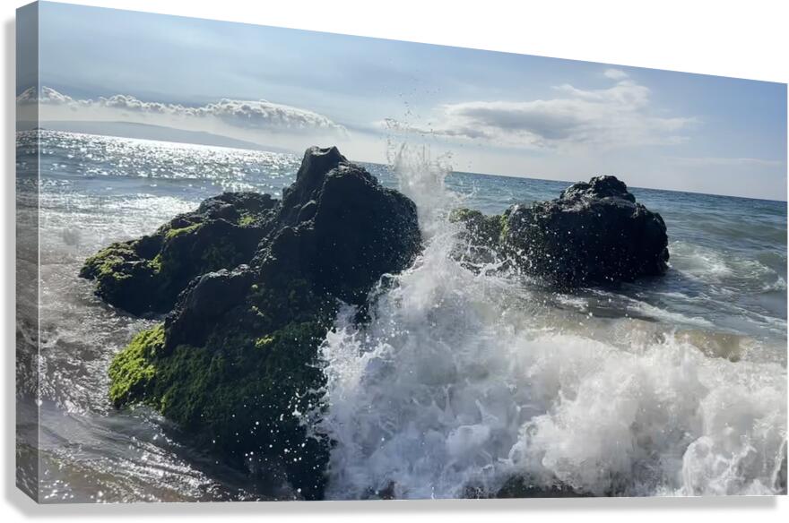 IMG 0939 Canvas Print