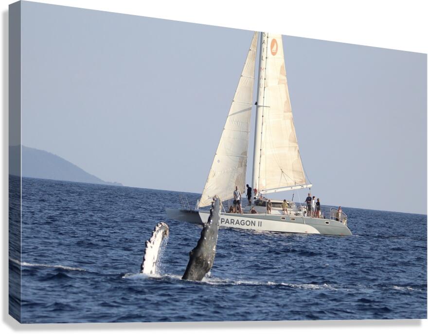 IMG 3372 Canvas Print