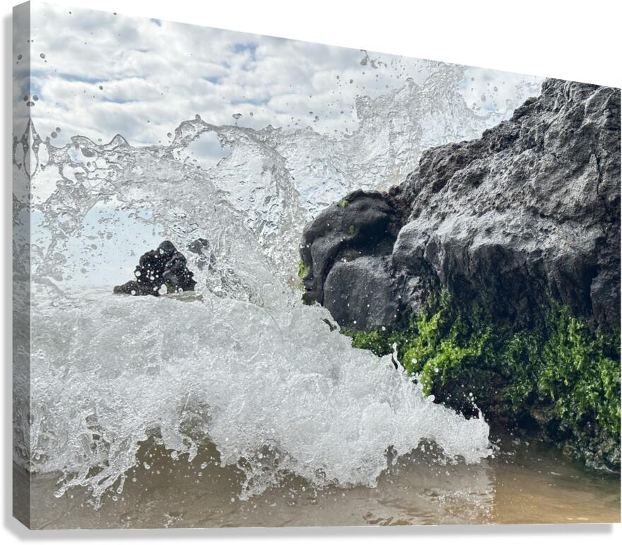 IMG 0828 Canvas Print