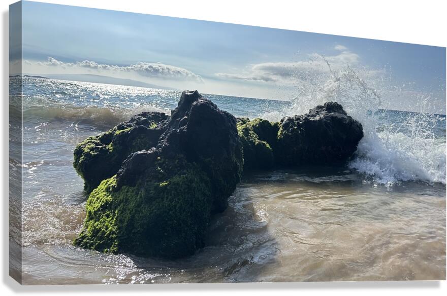 Maui on the Rocks Canvas Print