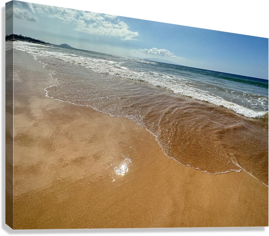 IMG 1038 Canvas Print