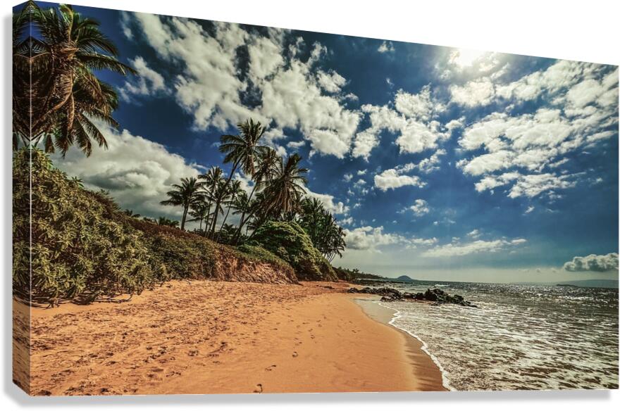 IMG 1053 jpg Canvas Print