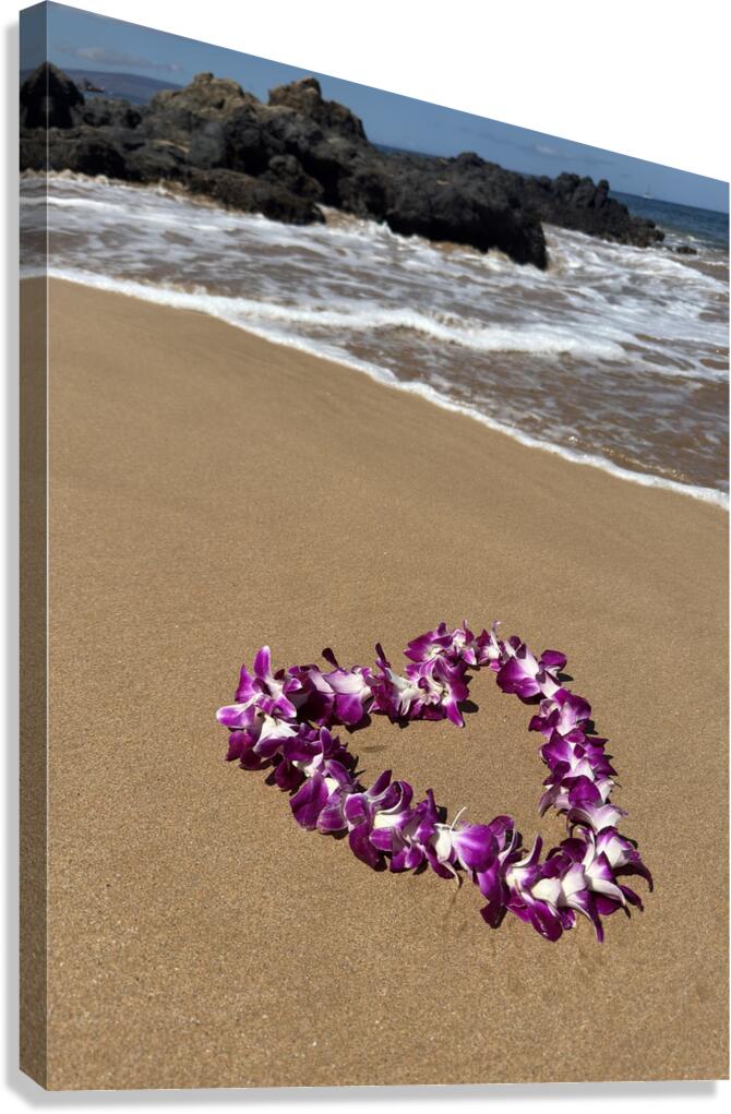 IMG 1727 Canvas Print