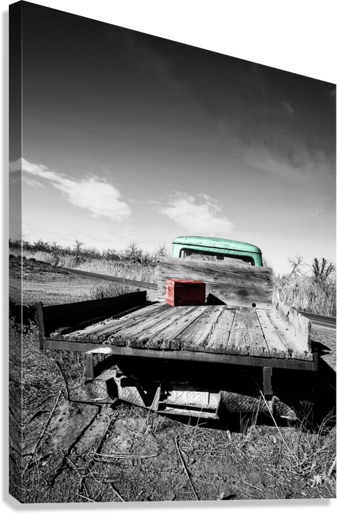 411087A6 03AC 472D AE87 55E0490A2BD9 Canvas Print