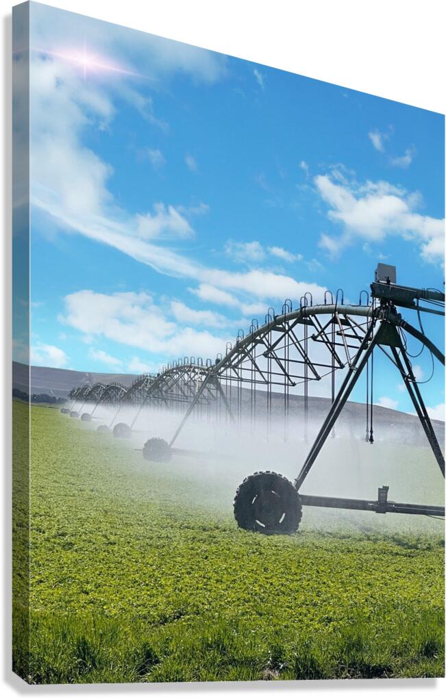 66B8AC6A 6571 4FAB 9070 E89EFFB74593 Canvas Print