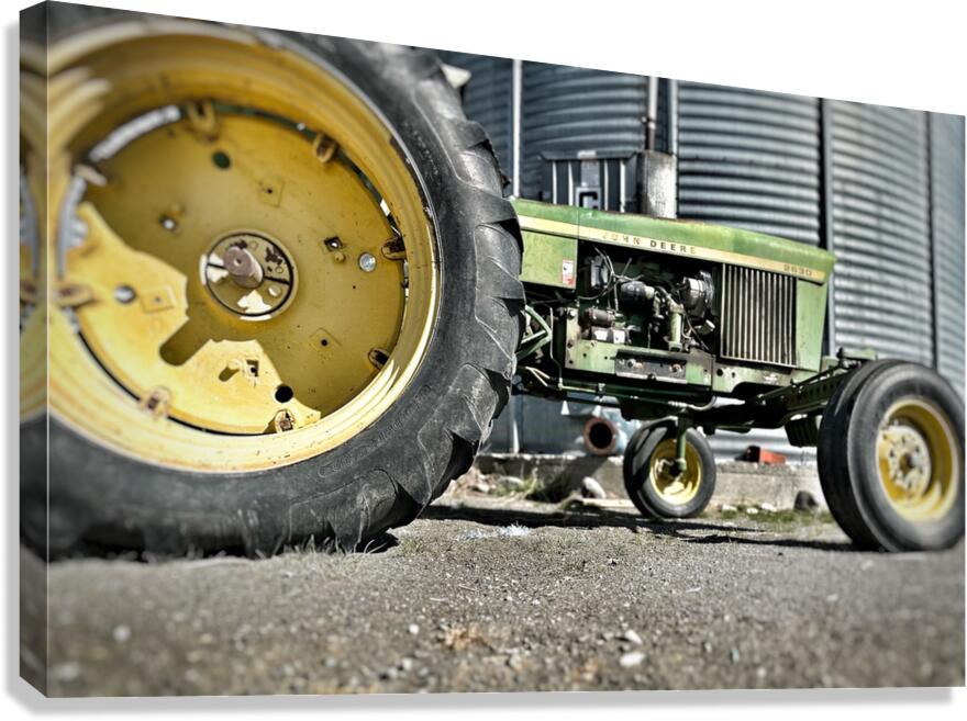 IMG 1442 Canvas Print