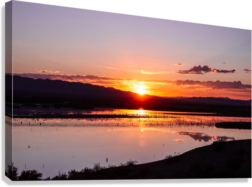 Havasu National Wildlife Refuge 7-18-25 Canvas Print